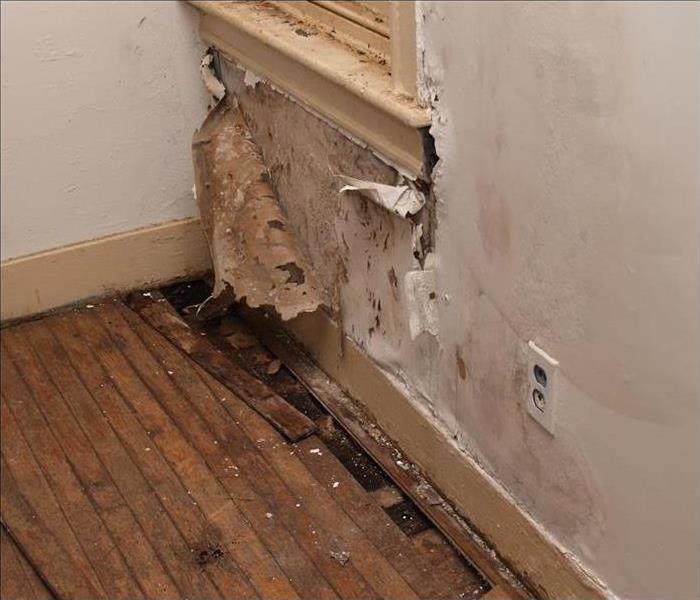 A wall with mold forming from water damage