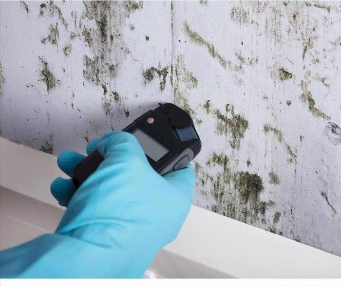 Mold on the wall and a gloved hand with a device to test the mold